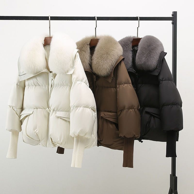 Jessamine | Glam Windbreaker