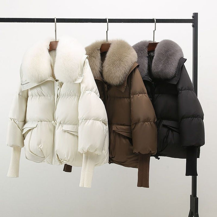 Jessamine | Glam Windbreaker
